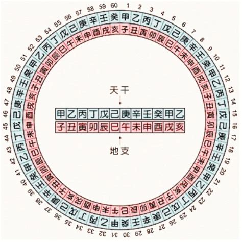 1982 天干地支|干支对照表